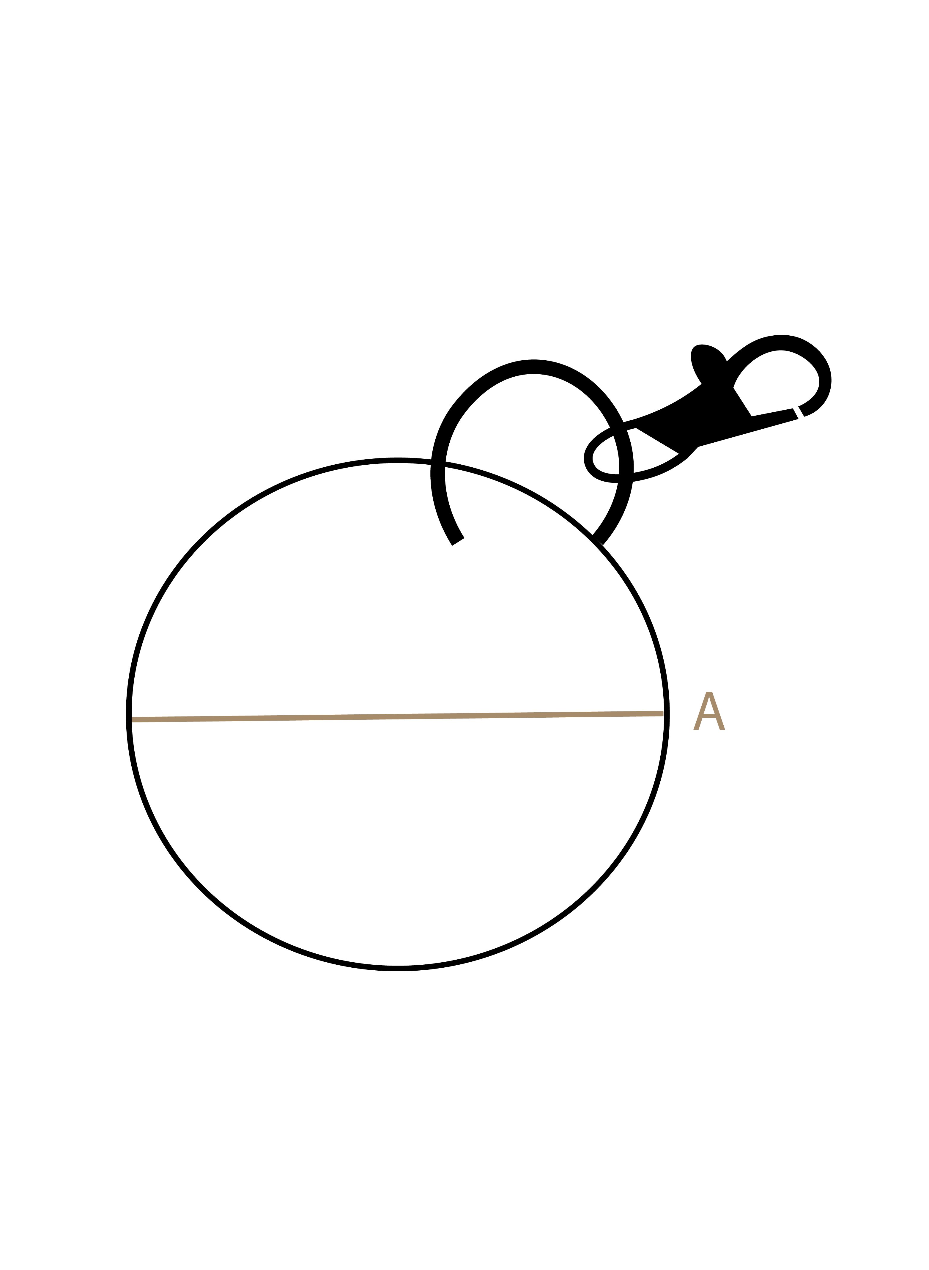 Size measurement guide